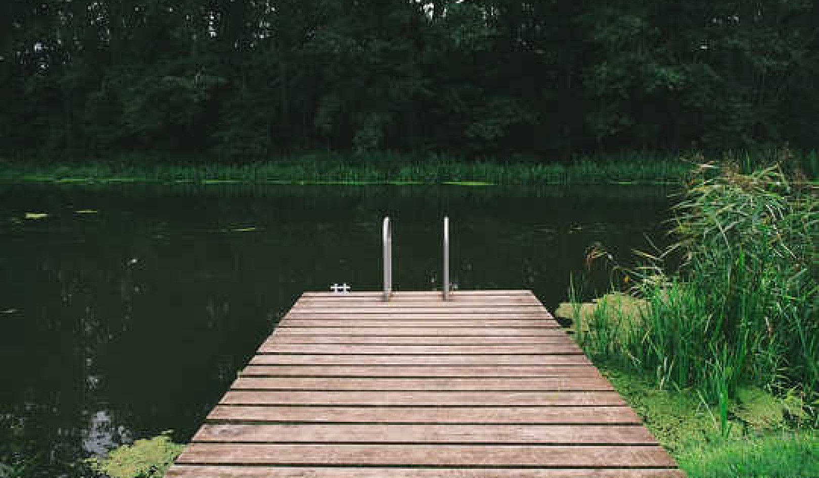 Transforming Grief into Acceptance and Joy